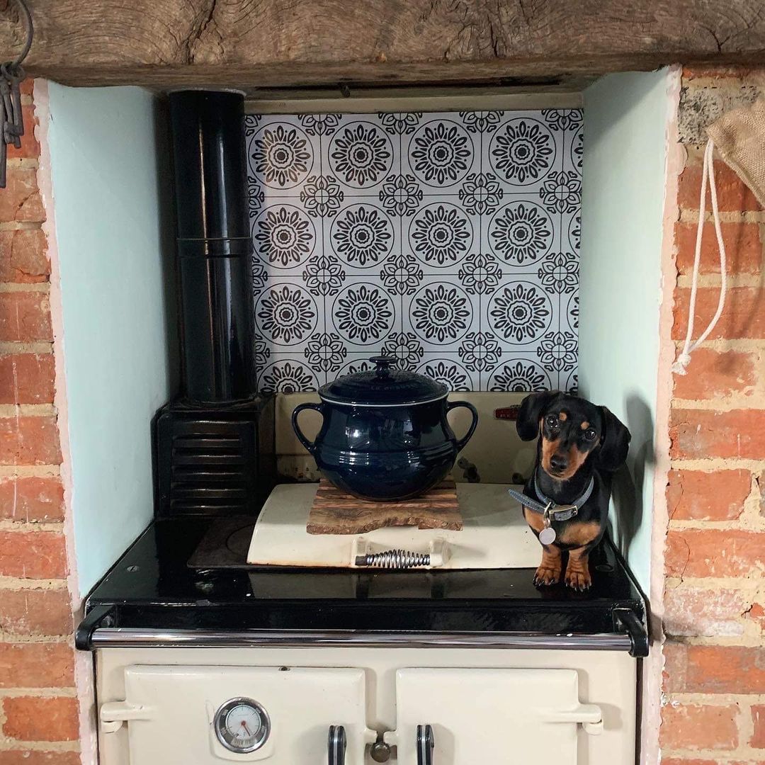 French Tiles - Window Vinyl