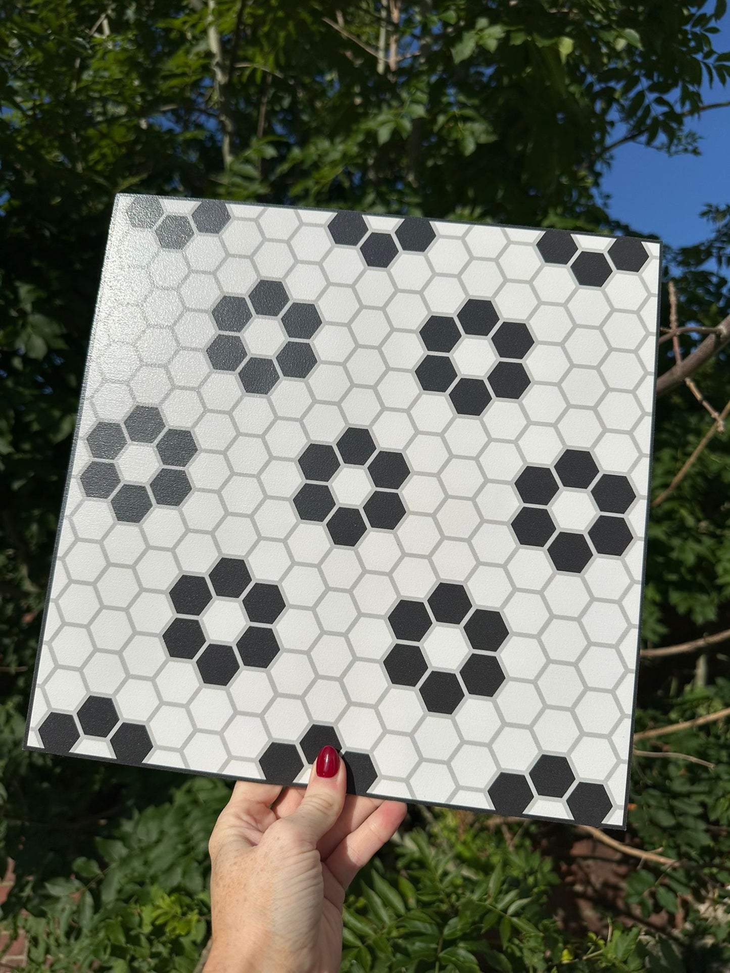 Hexagon petals white