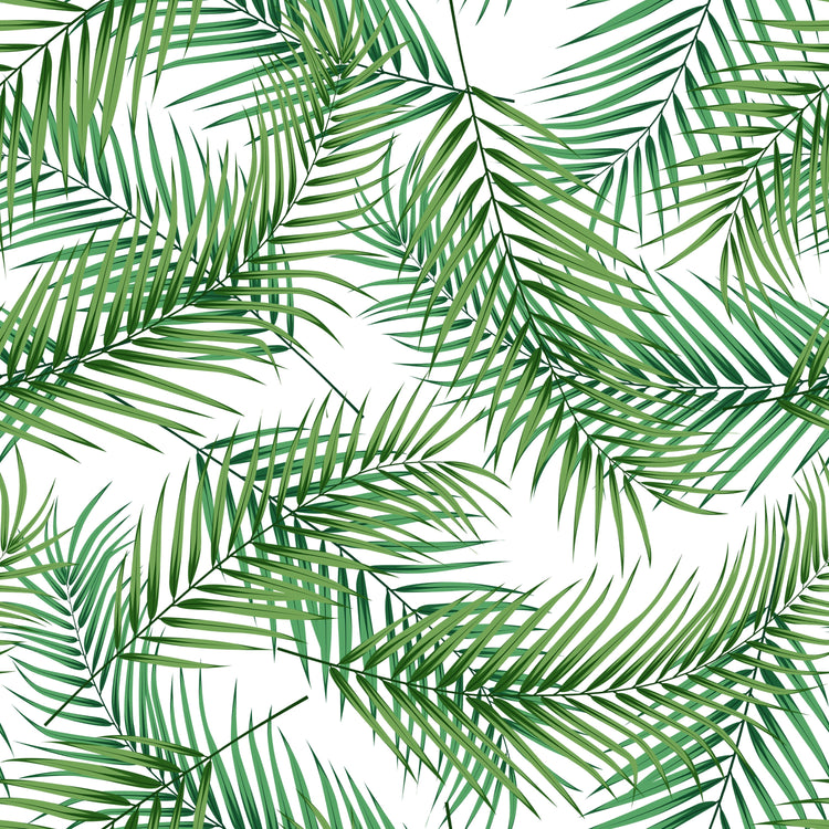 Palm Leaves - Window Vinyl